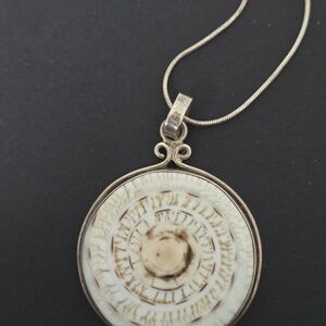 Sterling Silver Vintage Shell Fossil Pendant & Chain
